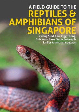 A Field Guide to the Reptiles and Amphibians of Singapore - Law Ing Sind [KSIĄŻKA]
