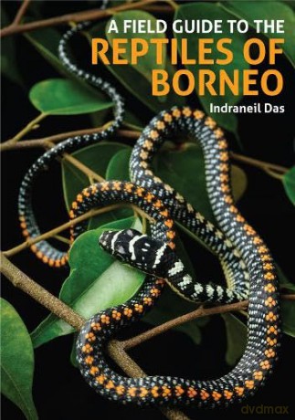 A Field Guide to the Reptiles of Borneo - Indraneil Das [KSIĄŻKA]
