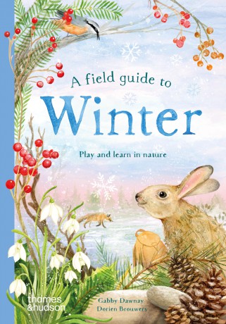 A Field Guide to Winter: Play and learn in nature: 4 (Field Guide series) - Gabby Dawnay [KSIĄŻKA]