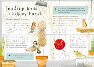 A Field Guide to Winter: Play and learn in nature: 4 (Field Guide series) - Gabby Dawnay [KSIĄŻKA]
