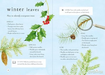 A Field Guide to Winter: Play and learn in nature: 4 (Field Guide series) - Gabby Dawnay [KSIĄŻKA]
