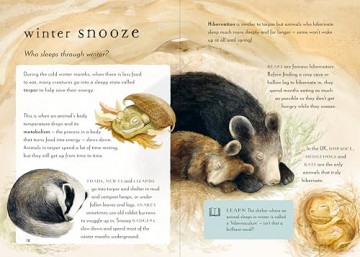 A Field Guide to Winter: Play and learn in nature: 4 (Field Guide series) - Gabby Dawnay [KSIĄŻKA]