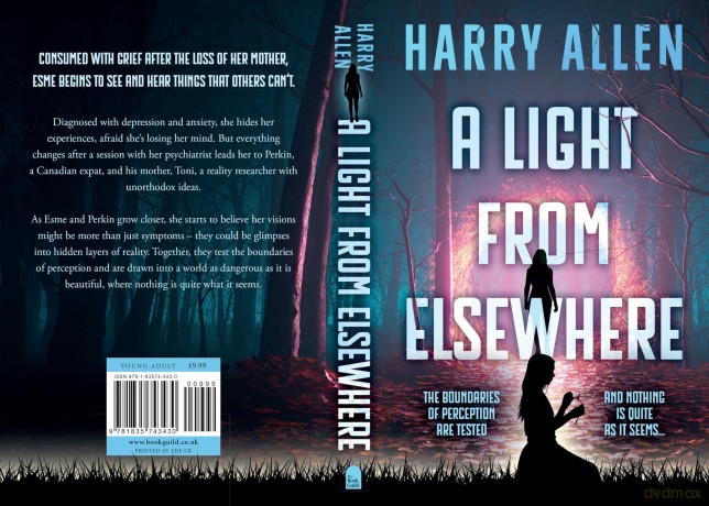 A Light From Elsewhere - Harry Allen [KSIĄŻKA]