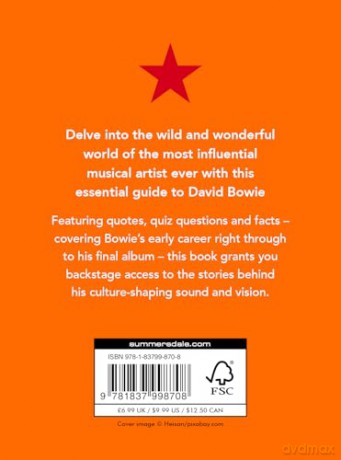 A Little Bit of Bowie: An Unofficial Celebration of the Most Influential Musician of All Time [KSIĄŻKA]