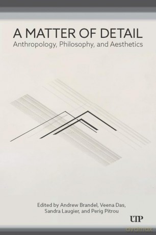 A Matter of Detail: Anthropology, Philosophy, and Aesthetics (Anthropological Horizons) - Andrew Brandel [KSIĄŻKA]