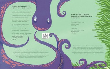 A Poem for Every Question: A new illustrated funny and fact-filled non-fiction children's poetry book for 2025, great for kids aged 6+ - Brian Bilston [KSIĄŻKA]