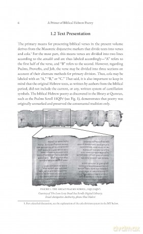 A Primer of Biblical Hebrew Poetry: An Essential Guide for Reading and Analysis - David Emanuel [KSIĄŻKA]