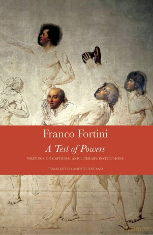 A Test of Powers: Writings on Criticism and Literary Institutions (The Italian List) - Franco Fortini [KSIĄŻKA]