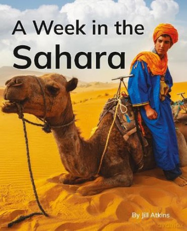 A Week in the Sahara: Phonics Phase 5 (Reading Stars Achieve Phonics) [KSIĄŻKA]