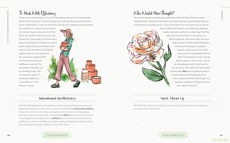 A Year of Garden-Inspired Living: Season by Season - Linda Vater [KSIĄŻKA]