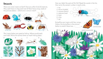 Activity Book Nature (Little Children's Activity Books) - Rebecca Gilpin [KSIĄŻKA]