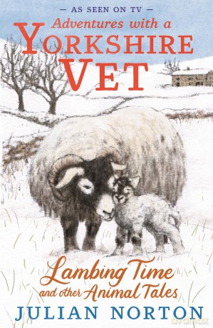 Adventures with a Yorkshire Vet: Lambing Time and Other Animal Tales: Charming animal adventures for 8-11 readers - Julian Norton [KSIĄŻKA]