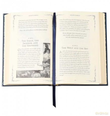 Aesop's Fables Illustrated (Leather-bound Classics) - Aesop [KSIĄŻKA]