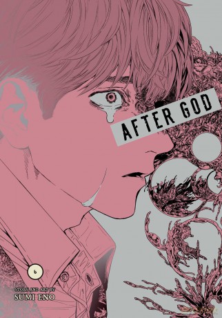 After God, Vol. 6: Volume 6 - Sumi Eno [KOMIKS]