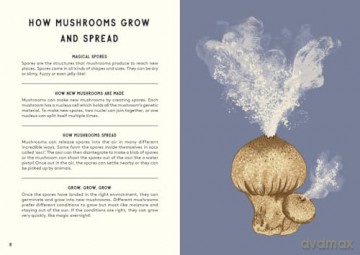 All About Mushrooms - Alice Pattullo [KSIĄŻKA]