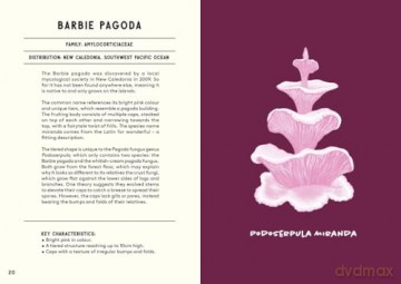 All About Mushrooms - Alice Pattullo [KSIĄŻKA]