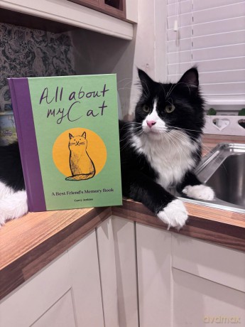 All About My Cat (and Me): Keepsake and Memory Journal with Prompts - for Cat Owners to Capture Special Memories - Garry Jenkins [KSIĄŻKA]