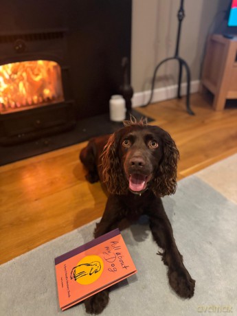 All About My Dog (and Me): Keepsake and Memory Journal with Prompts - for Dog Owners to Capture Special Memories - Garry Jenkins [KSIĄŻKA]