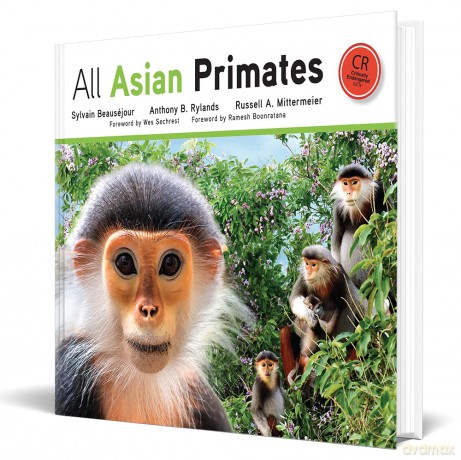 All Asian Primates - Sylvain Beauséjour [KSIĄŻKA]