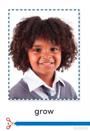 Always Growing: Hair (Time for Kids(r) Informational Text) - Dona Herweck Rice [KSIĄŻKA]