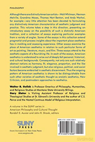 American Aesthetics: Theory and Practice (SUNY series in American Philosophy and Cultural Thought) - Walter B. Gulick [KSIĄŻKA]