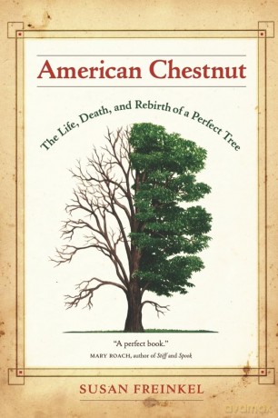 American Chestnut: The Life, Death, and Rebirth of a Perfect Tree - Susan Freinkel [KSIĄŻKA]
