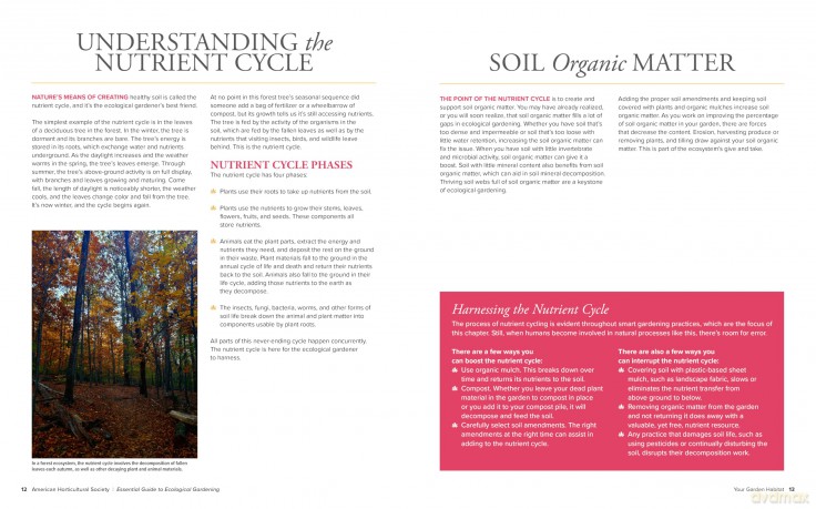 American Horticultural Society Essential Guide to Ecological Gardening: Techniques and Know-How for Gardening with Nature - American Horticultural Society [KSIĄŻKA]
