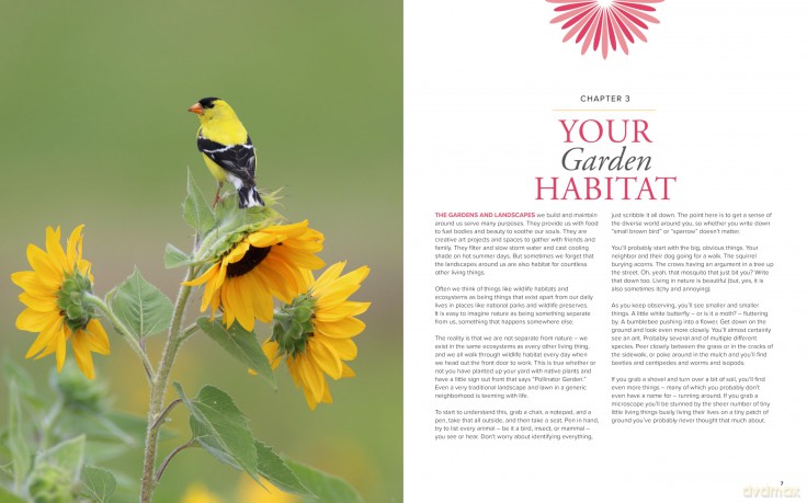 American Horticultural Society Essential Guide to Ecological Gardening: Techniques and Know-How for Gardening with Nature - American Horticultural Society [KSIĄŻKA]