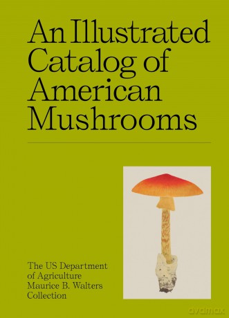 An Illustrated Catalog of American Mushrooms [KSIĄŻKA]