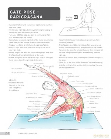 Anatomy of Yoga for Posture and Health (IMM Lifestyle Books) Improve Alignment, Build Core Strength, Relieve Back Pain, and Understand What Happens Inside Your Body During Key Yoga Poses - Nicky Jenkins [KSIĄŻKA]
