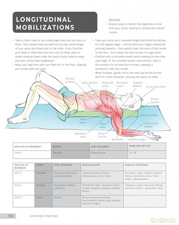 Anatomy of Yoga for Posture and Health (IMM Lifestyle Books) Improve Alignment, Build Core Strength, Relieve Back Pain, and Understand What Happens Inside Your Body During Key Yoga Poses - Nicky Jenkins [KSIĄŻKA]