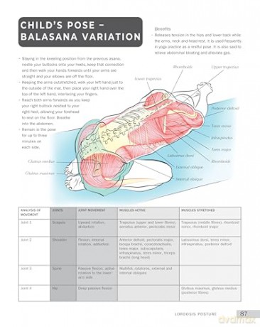 Anatomy of Yoga for Posture and Health (IMM Lifestyle Books) Improve Alignment, Build Core Strength, Relieve Back Pain, and Understand What Happens Inside Your Body During Key Yoga Poses - Nicky Jenkins [KSIĄŻKA]