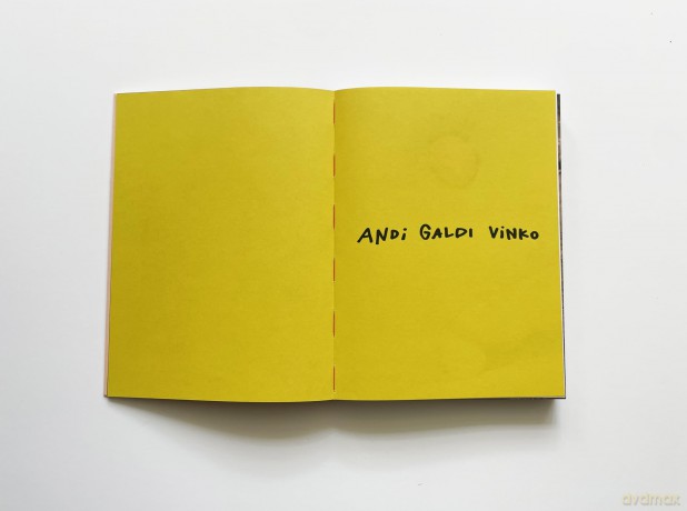 Andi Galdi Vinko: Sorry I Gave Birth I Disappeared But Now I'm Back - Charlotte Jansen [KSIĄŻKA]