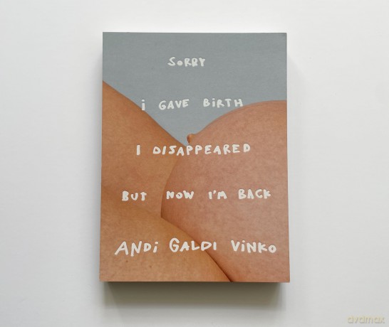Andi Galdi Vinko: Sorry I Gave Birth I Disappeared But Now I'm Back - Charlotte Jansen [KSIĄŻKA]
