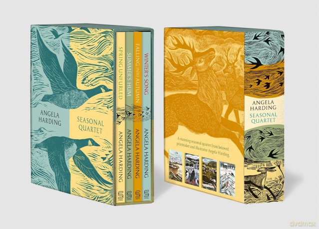Angela Harding Seasonal Quartet Boxset: Includes Spring Unfurled, Summer's Hum, Falling into Autumn and Winter's Song - Angela Harding [KSIĄŻKA]
