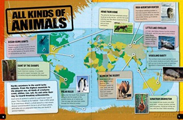Animal Record Breakers: Fastest! Strongest! Deadliest! - Steve Parker [KSIĄŻKA]