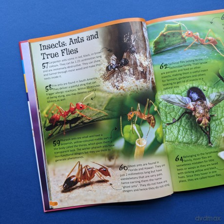 Animals (500 Fantastic Facts) [KSIĄŻKA]