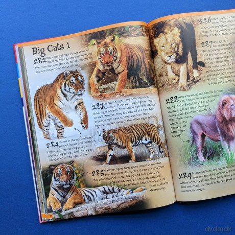Animals (500 Fantastic Facts) [KSIĄŻKA]