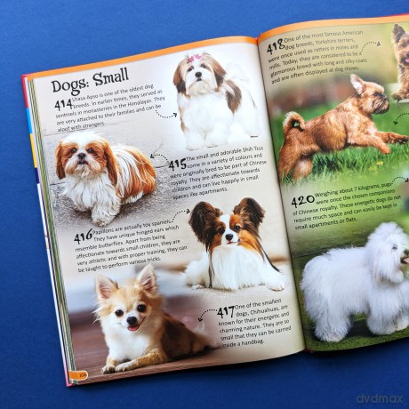 Animals (500 Fantastic Facts) [KSIĄŻKA]