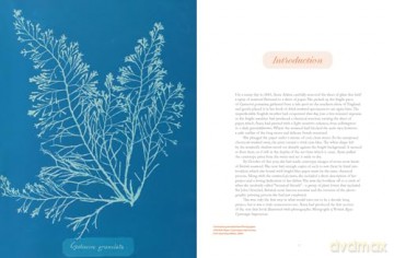 Anna Atkins: Photographer, Naturalist, Innovator - Corey Keller [KSIĄŻKA]
