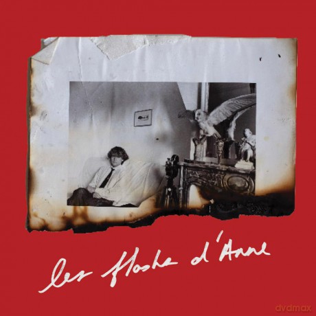 Anne Day: Les Flashes D'Anne: Friendship Among the Ashes with Hervé Guibert - Anne Day [KSIĄŻKA]