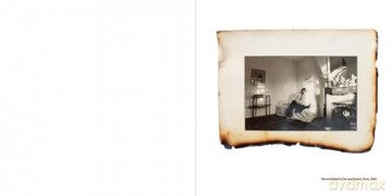 Anne Day: Les Flashes D'Anne: Friendship Among the Ashes with Hervé Guibert - Anne Day [KSIĄŻKA]