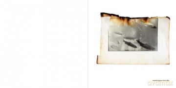 Anne Day: Les Flashes D'Anne: Friendship Among the Ashes with Hervé Guibert - Anne Day [KSIĄŻKA]