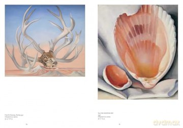Artists Series: Georgia O'Keeffe - Genevieve Barton [KSIĄŻKA]
