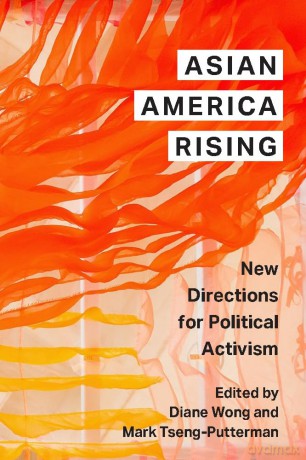 Asian America Rising: New Directions for Political Activism - Diane Wong [KSIĄŻKA]