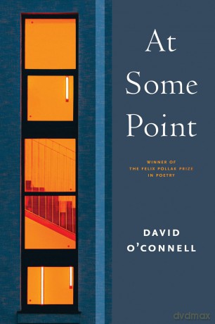At Some Point (Wisconsin Poetry Series) - David O'Connell [KSIĄŻKA]