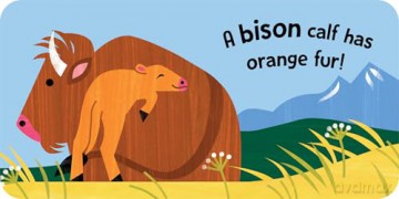 Baby Block Books: Baby Animals: 3 - duopress [KSIĄŻKA]