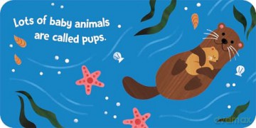 Baby Block Books: Baby Animals: 3 - duopress [KSIĄŻKA]