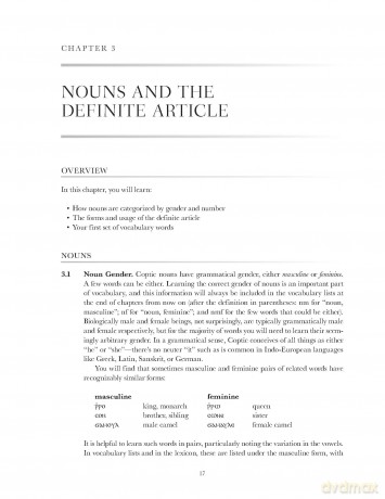 Basics of Sahidic Coptic | Softcover: A Complete Grammar with Exercises, Readings, and Lexicon (Zondervan Language Basics Series) - Josiah A. Chappell [KSIĄŻKA]
