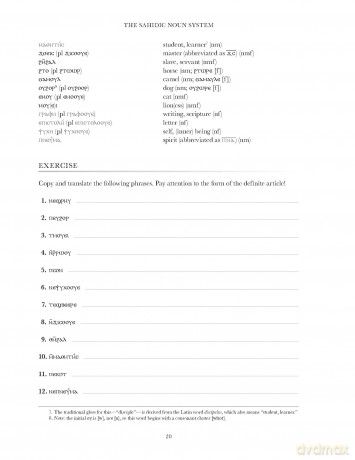 Basics of Sahidic Coptic | Softcover: A Complete Grammar with Exercises, Readings, and Lexicon (Zondervan Language Basics Series) - Josiah A. Chappell [KSIĄŻKA]